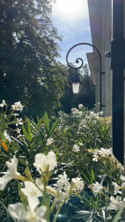 Visiter les éternels châteaux de la Loire, tout en séjournant dans un domaine avec un cadre magnifique, un havre de paix pour vous ressourcer.
Le calme et la tranquillité à une petite heure de Paris en TGV le @domaine_des_bidaudieres 
Réservation sur www.bidaudieres.com 
Nos meilleurs prix sur www.bidaudieres.com 
@domaine_des_bidaudieres #domainedesbidaudières #chateau #castle #hotel #chateauhotel #castlehotel #chateauxdelaloire #amazing #loirevalleycastles #travelphotography #tourainevaldeloire #touraineloirevalley #amboise #amboisecastle #amboisetourisme #loire #loirevalley #loirevalleytourism #france #travel #voyage #bestplacetogo #beautifulhotels #bestplace #tourism #beautifuldestinations