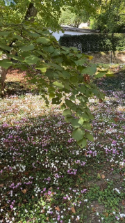 Visiter les éternels châteaux de la Loire, tout en séjournant dans un domaine avec un cadre magnifique, un havre de paix pour vous ressourcer.

Le calme et la tranquillité à une petite heure de Paris en TGV le @domaine_des_bidaudieres 

Réservation sur www.bidaudieres.com 
Nos meilleurs prix sur www.bidaudieres.com 

@domaine_des_bidaudieres #domainedesbidaudières #chateau #castle #hotel #chateauhotel #castlehotel #chateauxdelaloire #amazing #loirevalleycastles #travelphotography #tourainevaldeloire #touraineloirevalley #amboise #amboisecastle #amboisetourisme #loire #loirevalley #loirevalleytourism #france #travel #voyage #bestplacetogo #beautifulhotels #bestplace #tourism #beautifuldestinations