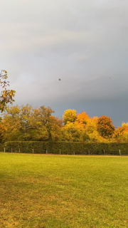 Couleurs d’Automne

Visiter les éternels châteaux de la Loire, tout en séjournant dans un domaine avec un cadre magnifique, un havre de paix pour vous ressourcer.

Le calme et la tranquillité à une petite heure de Paris en TGV le @domaine_des_bidaudieres 

Réservation sur www.bidaudieres.com 
Nos meilleurs prix sur www.bidaudieres.com 

@domaine_des_bidaudieres #domainedesbidaudières #chateau #castle #hotel #chateauhotel #castlehotel #chateauxdelaloire #amazing #loirevalleycastles #travelphotography #tourainevaldeloire #touraineloirevalley #amboise #amboisecastle #amboisetourisme #loire #loirevalley #loirevalleytourism #france #travel #voyage #bestplacetogo #beautifulhotels #bestplace #tourism #beautifuldestinations