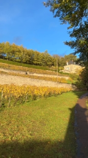 Couleurs d’Automne
Visiter les éternels châteaux de la Loire, tout en séjournant dans un domaine avec un cadre magnifique, un havre de paix pour vous ressourcer.
Le calme et la tranquillité à une petite heure de Paris en TGV le @domaine_des_bidaudieres 
Réservation sur www.bidaudieres.com 
Nos meilleurs prix sur www.bidaudieres.com 
@domaine_des_bidaudieres #domainedesbidaudières #chateau #castle #hotel #chateauhotel #castlehotel #chateauxdelaloire #amazing #loirevalleycastles #travelphotography #tourainevaldeloire #touraineloirevalley #amboise #amboisecastle #amboisetourisme #loire #loirevalley #loirevalleytourism #france #travel #voyage #bestplacetogo #beautifulhotels #bestplace #tourism #beautifuldestinations