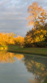 Couleurs d’Automne

Visiter les éternels châteaux de la Loire, tout en séjournant dans un domaine avec un cadre magnifique, un havre de paix pour vous ressourcer.

Le calme et la tranquillité à une petite heure de Paris en TGV le @domaine_des_bidaudieres 

Réservation sur www.bidaudieres.com 
Nos meilleurs prix sur www.bidaudieres.com 

@domaine_des_bidaudieres #domainedesbidaudières #chateau #castle #hotel #chateauhotel #castlehotel #chateauxdelaloire #amazing #loirevalleycastles #travelphotography #tourainevaldeloire #touraineloirevalley #amboise #amboisecastle #amboisetourisme #loire #loirevalley #loirevalleytourism #france #travel #voyage #bestplacetogo #beautifulhotels #bestplace #tourism #beautifuldestinations