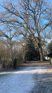 Nous vous souhaitons une bonne année 2026, avec tous nos meilleurs vœux de santé et de bonheur.
Visiter les éternels châteaux de la Loire, tout en séjournant dans un domaine avec un cadre magnifique, un havre de paix pour vous ressourcer.
Le calme et la tranquillité à une petite heure de Paris en TGV le @domaine_des_bidaudieres
Réservation sur www.bidaudieres.com
Nos meilleurs prix sur www.bidaudieres.com
